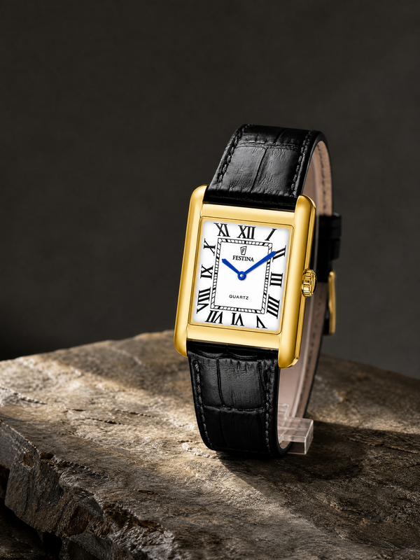 Festina F20772-1 men's watch — product shot